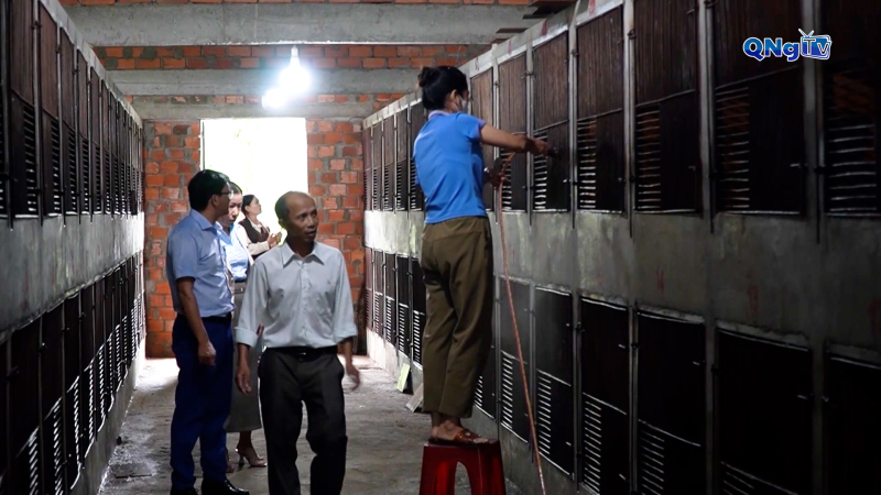 Nu&ocirc;i cầy v&ograve;i hương - hướng đi mới hiệu quả tại Quảng Ng&atilde;i