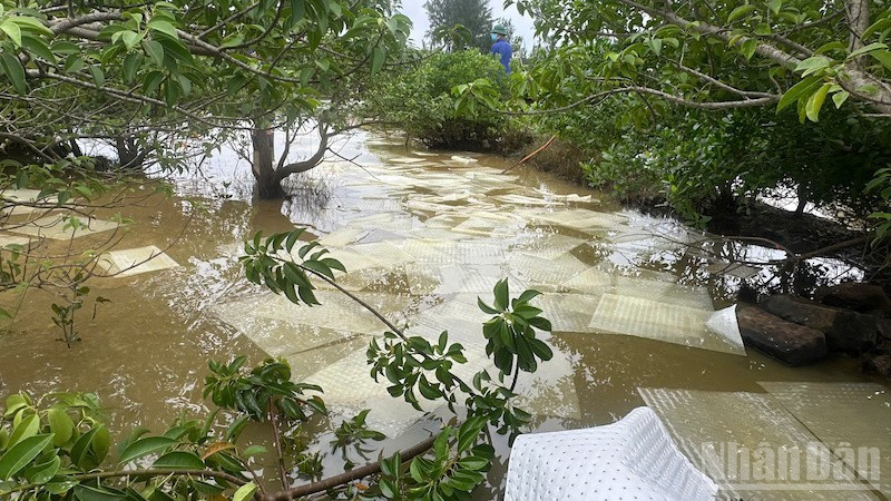 Sự cố tr&agrave;n dầu DO g&acirc;y &ocirc; nhiễm m&ocirc;i trường