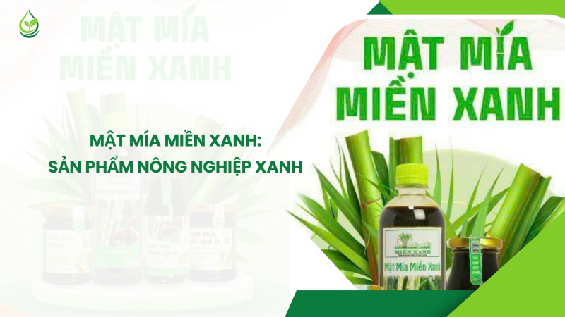 Mật m&iacute;a Miền Xanh: Sản phẩm N&ocirc;ng nghiệp xanh