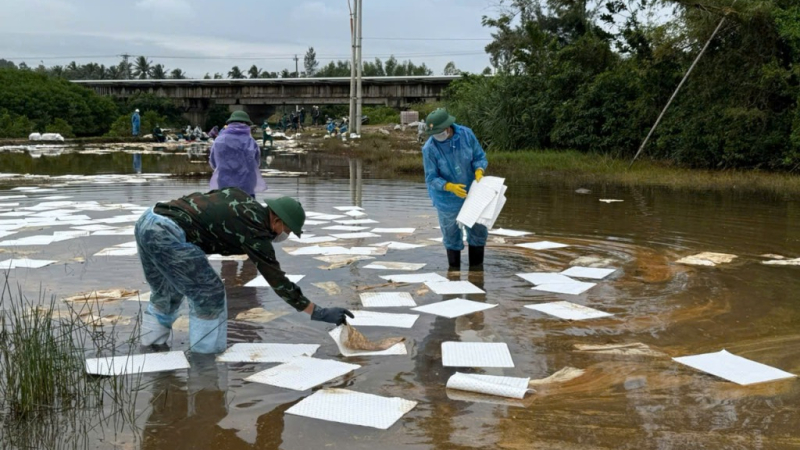 Th&ocirc;ng tin về sự cố tr&agrave;n dầu tại Quảng Ng&atilde;i