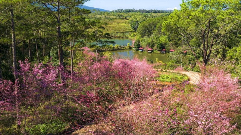 Sẵn s&agrave;ng cho Tuần Văn h&oacute;a - Du lịch Măng Đen 2026