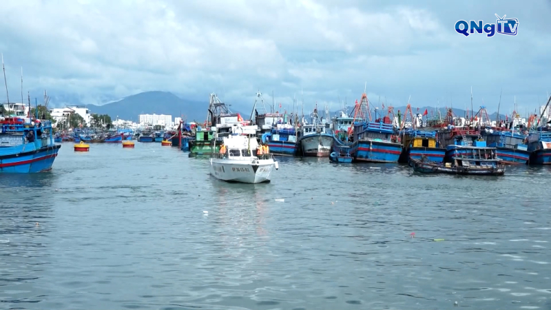 Ngư d&acirc;n Kh&aacute;nh H&ograve;a c&ugrave;ng ch&iacute;nh quyền nỗ lực gỡ &ldquo;thẻ v&agrave;ng&rdquo; IUU