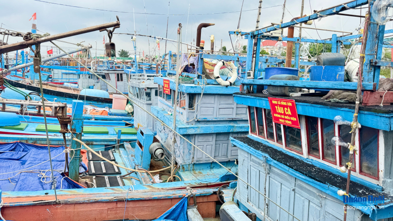 Quảng Ng&atilde;i siết chặt quản l&yacute; t&agrave;u c&aacute; thi h&agrave;nh &aacute;n, ngăn nguy cơ vi phạm IUU 