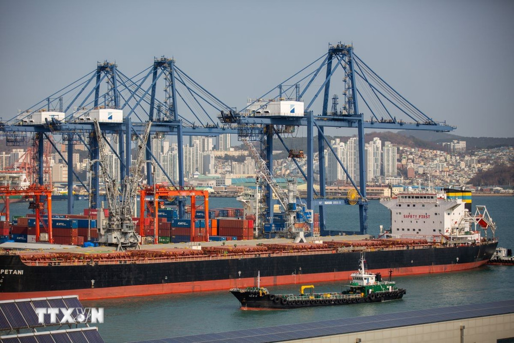 Quang cảnh cảng hàng hóa tại Busan, Hàn Quốc. Ảnh: THX/TTXVN