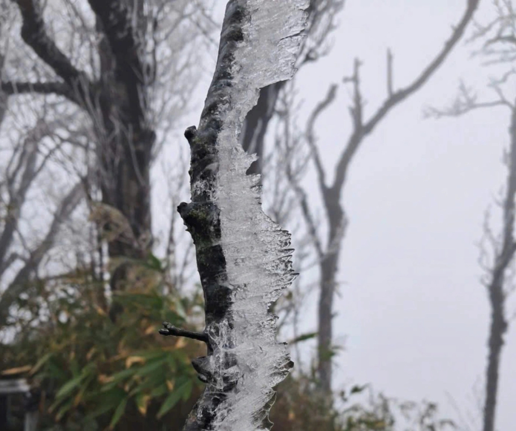 Băng giá ở núi Phia Oắc. Ảnh: Hoa Hà