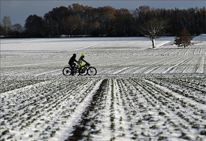 Tuyết phủ trắng xóa trên cánh đồng ở Alling, Đức. Ảnh tư liệu: AFP/TTXVN