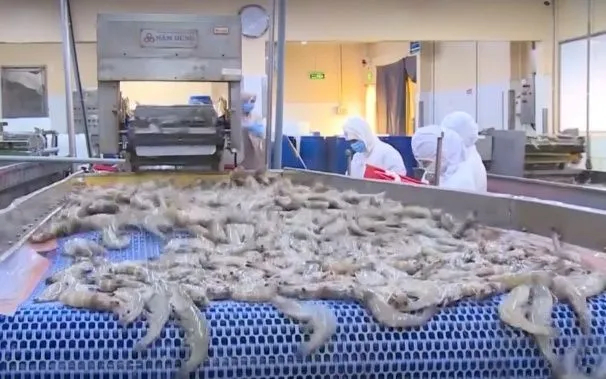 Ngành thủy sản đặt mục tiêu xuất khẩu 11,5 tỷ USD trong năm 2026.