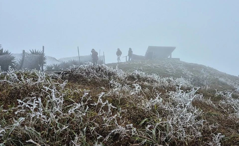 Thời tiết âm độ khiến băng giá xuất hiện trên đỉnh Mẫu Sơn. Ảnh: Trạm Khí tượng Mẫu Sơn.