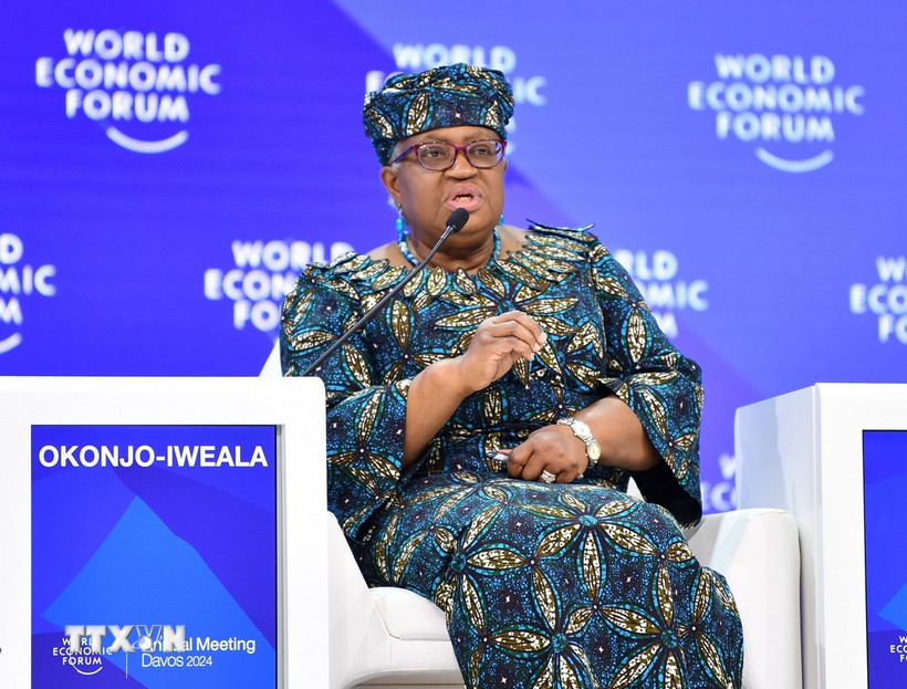 tong,giam,doc,wto,ngozi,okonjo,iweala,13515224.jpg