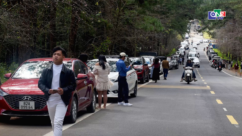 H&agrave;ng ngh&igrave;n du kh&aacute;ch đến Măng Đen trong ng&agrave;y đầu năm mới 2026