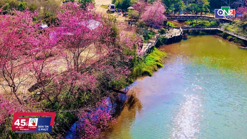 45 gi&acirc;y 1 chạm ng&agrave;y 03/01/2026