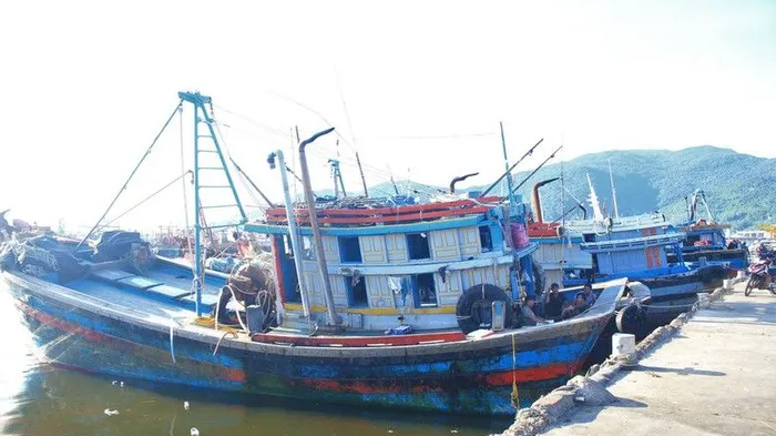 Cả nước đ&atilde; khởi tố 91 vụ &aacute;n h&igrave;nh sự vi phạm IUU