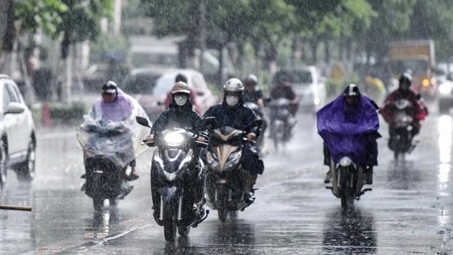  Trời lạnh, mưa rải r&aacute;c, n&ocirc;ng d&acirc;n cần chủ động bảo vệ c&acirc;y trồng - vật nu&ocirc;i