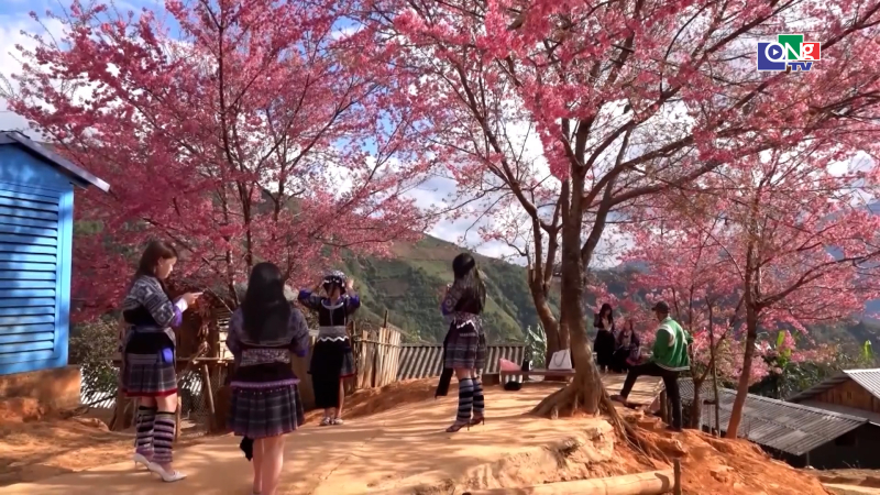 Khai mạc Festival kh&egrave;n M&ocirc;ng - Lễ hội Hoa Tớ D&agrave;y 2026