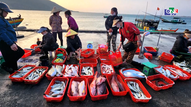 Ngư d&acirc;n miền Trung vươn khơi tr&uacute;ng "lộc biển" đầu năm