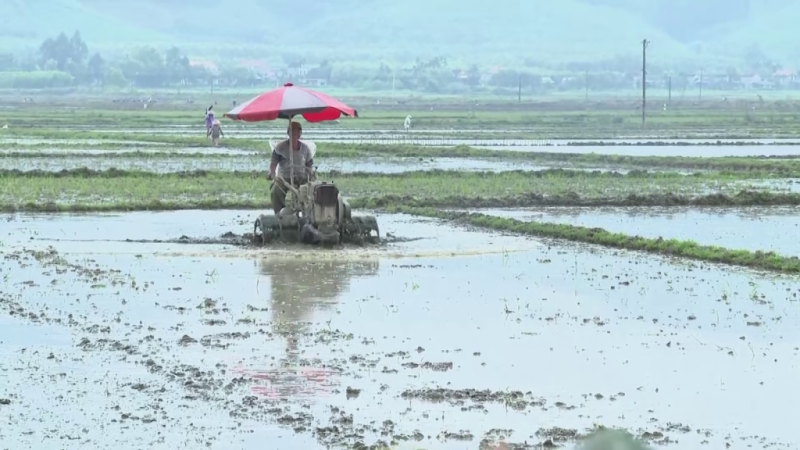 Huy động người d&acirc;n đắp đập phục vụ sản xuất Đ&ocirc;ng Xu&acirc;n