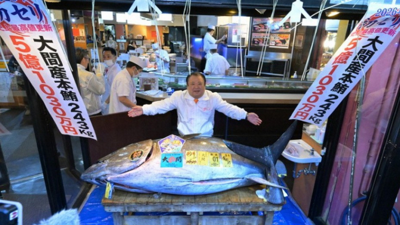 Kỷ lục đấu gi&aacute; c&aacute; ngừ v&acirc;y xanh 3,2 tri&ecirc;̣u USD