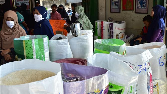 Gi&aacute; l&uacute;a gạo tại Th&aacute;i Lan tăng cao