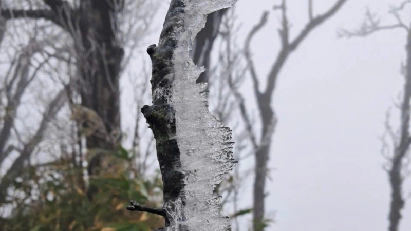 Băng gi&aacute; xuất hiện ở miền Bắc