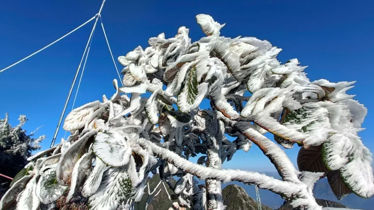 Băng gi&aacute; phủ trắng đỉnh Fansipan