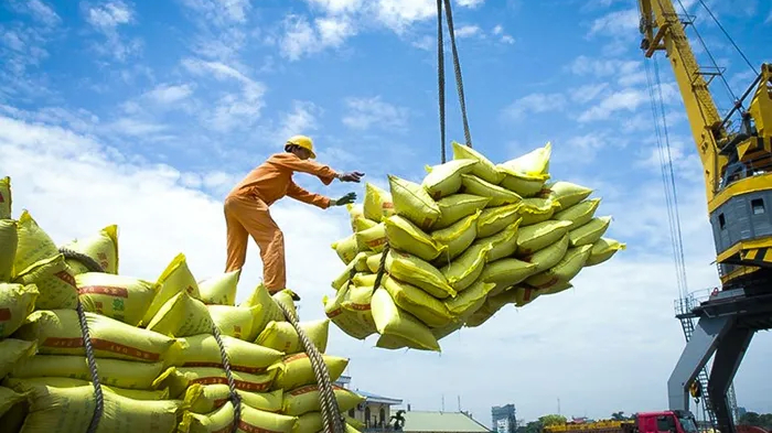 Việt Nam xuất khẩu được tr&ecirc;n 8 triệu tấn gạo 