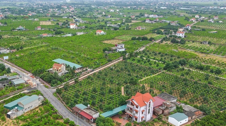 Th&aacute;o gỡ vướng mắc c&aacute;c dự &aacute;n đất đai v&agrave; triển khai Chương tr&igrave;nh mục ti&ecirc;u quốc gia 