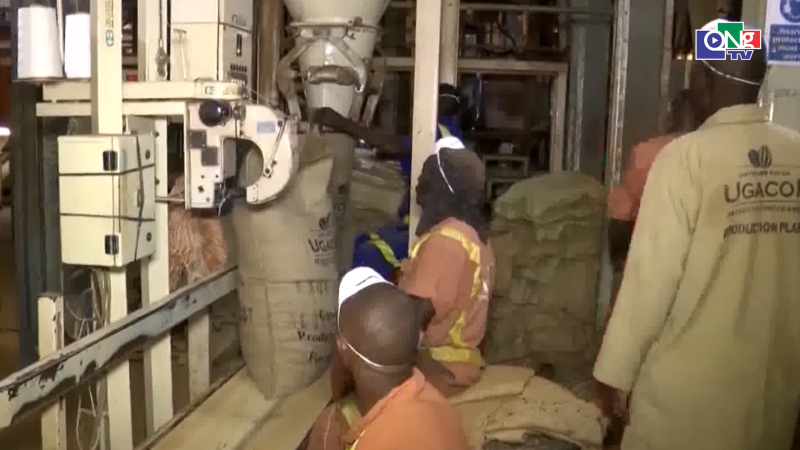 IMF dự b&aacute;o về c&aacute;c nền kinh tế ch&acirc;u Phi