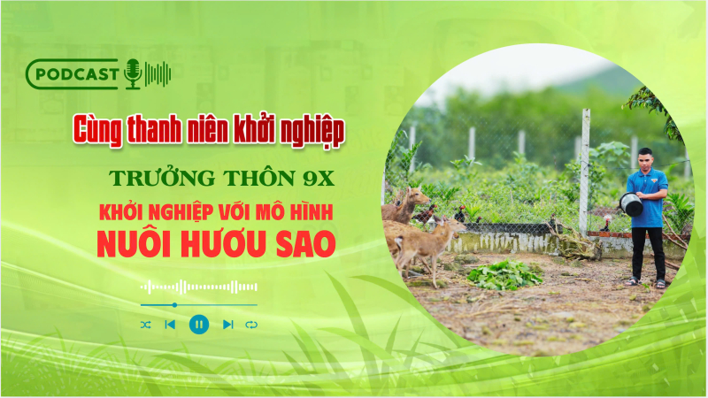 Mở lối l&agrave;m gi&agrave;u tr&ecirc;n đất g&ograve; đồi