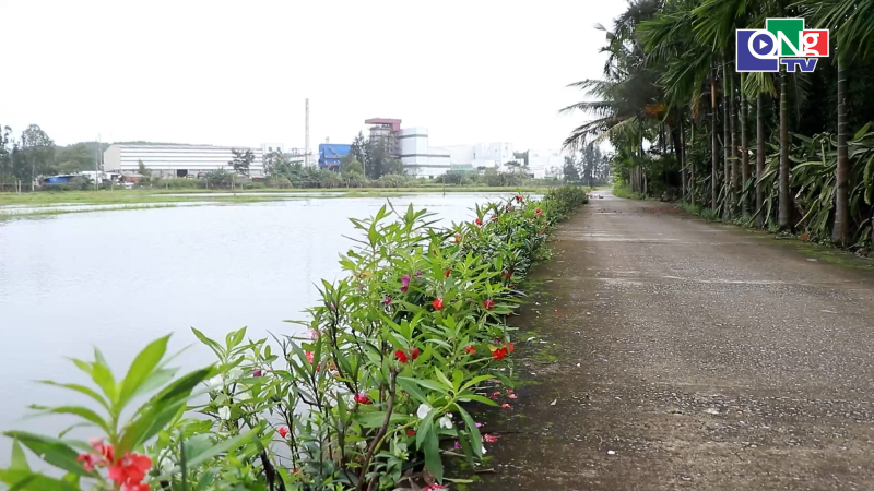 Phụ nữ Vạn Tường vun đắp nếp sống xanh