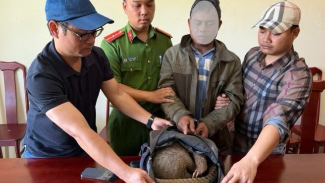 Bắt quả tang người đ&agrave;n &ocirc;ng vận chuyển tr&aacute;i ph&eacute;p c&aacute; thể t&ecirc; t&ecirc; qu&yacute; hiếm 