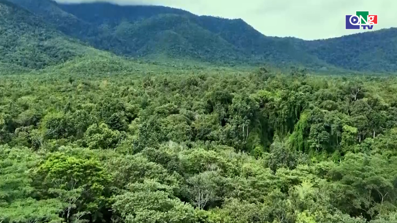 Ph&aacute;t triển l&acirc;m nghiệp gắn với kinh tế rừng 