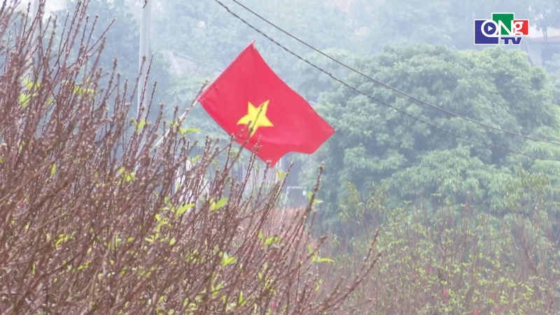 L&agrave;ng hoa đ&agrave;o Nh&agrave; N&iacute;t rộn r&agrave;ng v&agrave;o vụ Tết B&iacute;nh Ngọ 2026