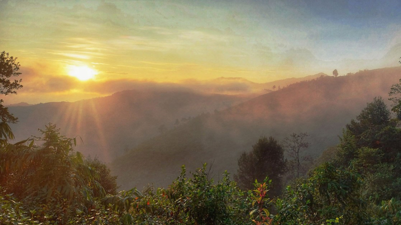 Quảng Ng&atilde;i: Đ&ecirc;m lạnh, ng&agrave;y nắng; miền n&uacute;i c&oacute; sương m&ugrave; nhẹ