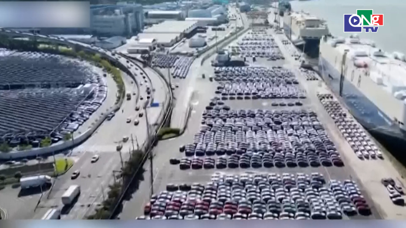 Hyundai v&agrave; Kia đạt thị phần kỷ lục tại Mỹ, bất chấp r&agrave;o cản thuế quan