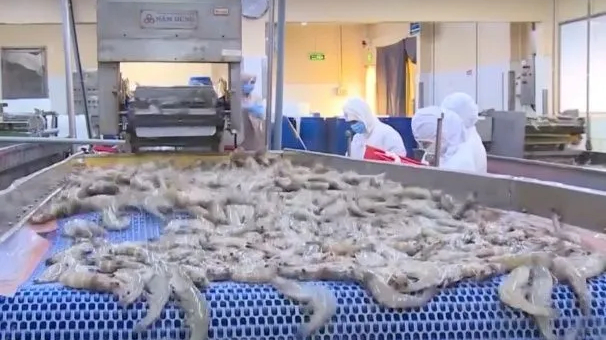 Ng&agrave;nh thủy sản điều chỉnh chiến lược xuất khẩu d&agrave;i hạn