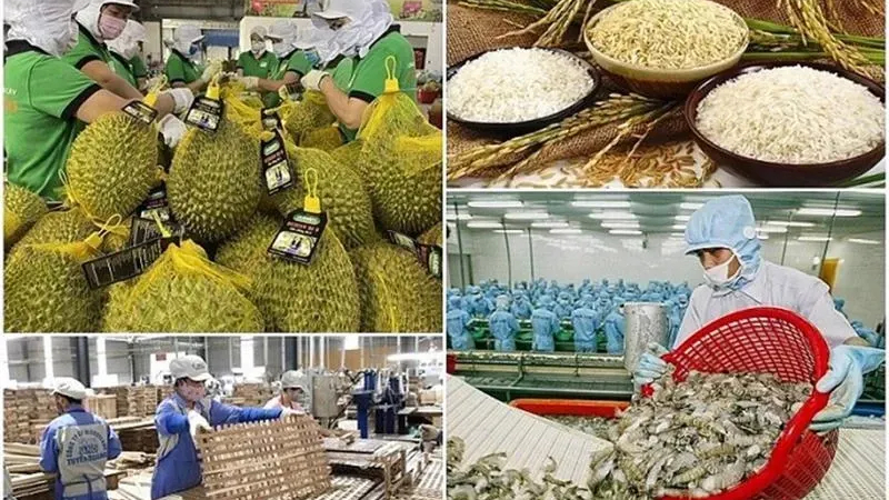 Xuất khẩu n&ocirc;ng l&acirc;m thủy sản đặt mục ti&ecirc;u đạt tới 100 tỷ USD