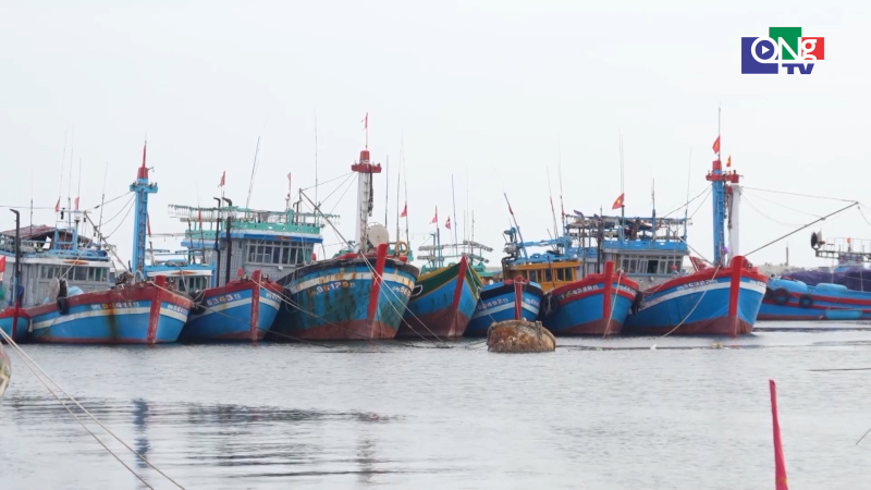 Triển khai lộ tr&igrave;nh số h&oacute;a truy xuất nguồn gốc thủy sản