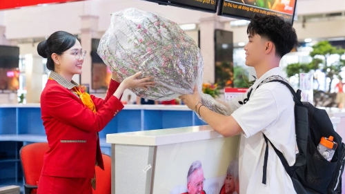 C&aacute;c h&atilde;ng h&agrave;ng kh&ocirc;ng đ&atilde; triển khai dịch vụ vận chuyển mai, đ&agrave;o trong dịp Tết