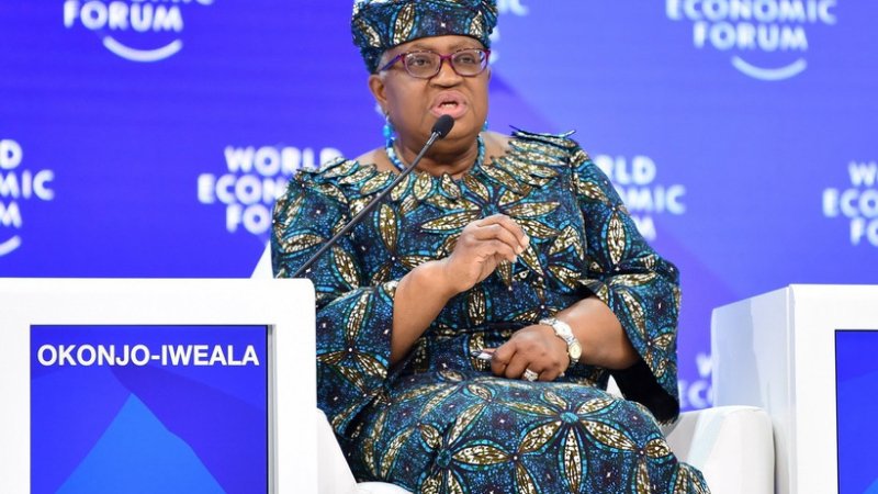 WTO cảnh b&aacute;o về l&agrave;n s&oacute;ng bảo hộ gia tăng