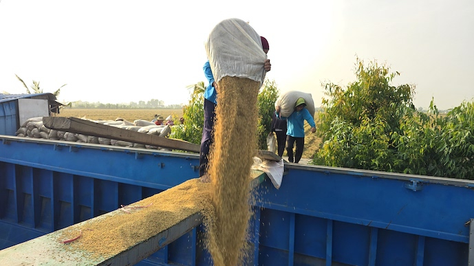 Việt Nam sẽ dự trữ 420.000 tấn lương thực năm 2026 