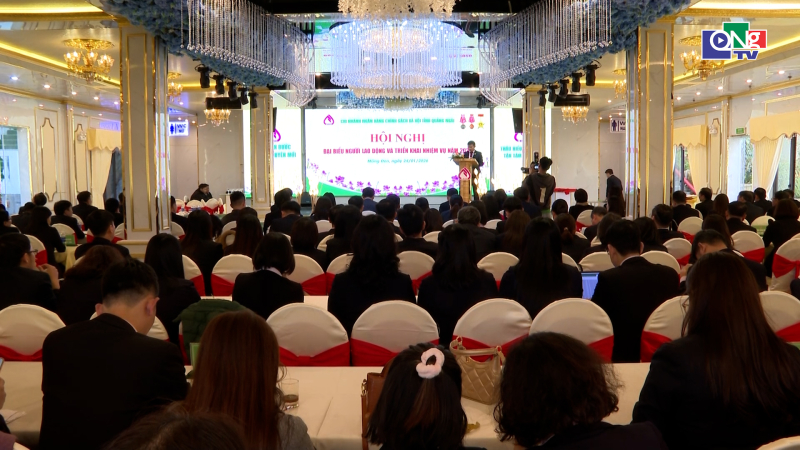 Chi nh&aacute;nh ng&acirc;n h&agrave;ng Ch&iacute;nh s&aacute;ch x&atilde; hội Quảng Ng&atilde;i triển khai nhiệm vụ năm 2026