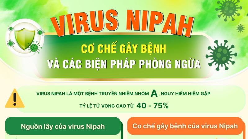 [Infographic]. Virus Nipah - cơ chế g&acirc;y bệnh v&agrave; c&aacute;c biện ph&aacute;p ph&ograve;ng ngừa
