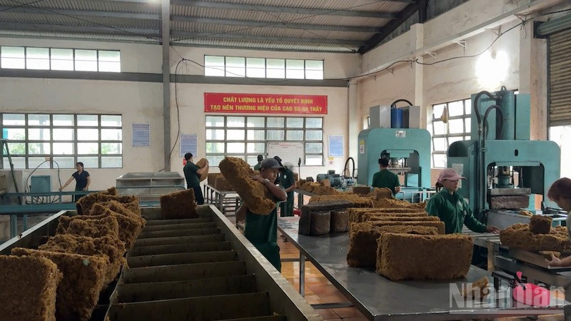 C&ocirc;ng nghiệp cao su Quảng Ng&atilde;i đổi mới v&agrave; n&acirc;ng cao chất lượng 