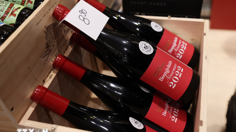Ng&agrave;nh rượu vang Bordeaux đối mặt khủng hoảng