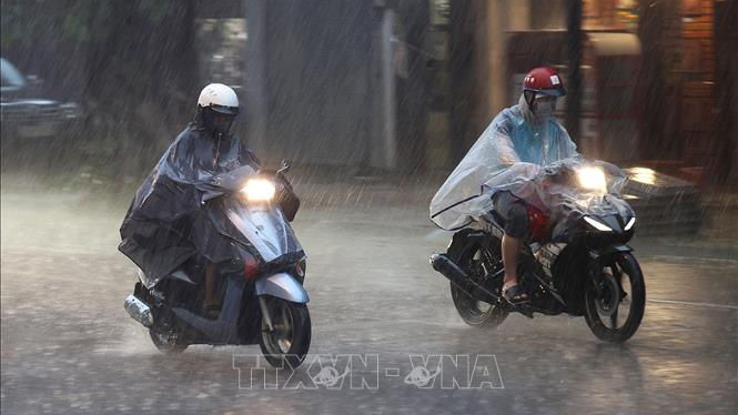 Thời tiết Quảng Ng&atilde;i: Đ&ecirc;m lạnh, ng&agrave;y c&oacute; mưa r&agrave;o v&agrave; d&ocirc;ng