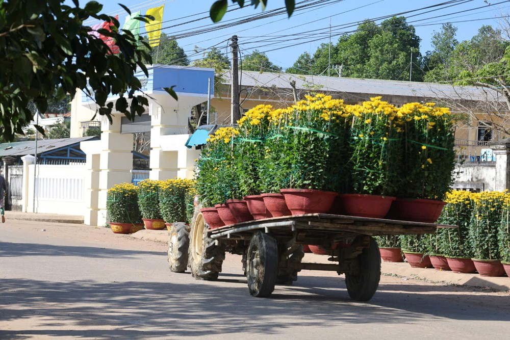 Hoa được vận chuyển ra đường lớn.