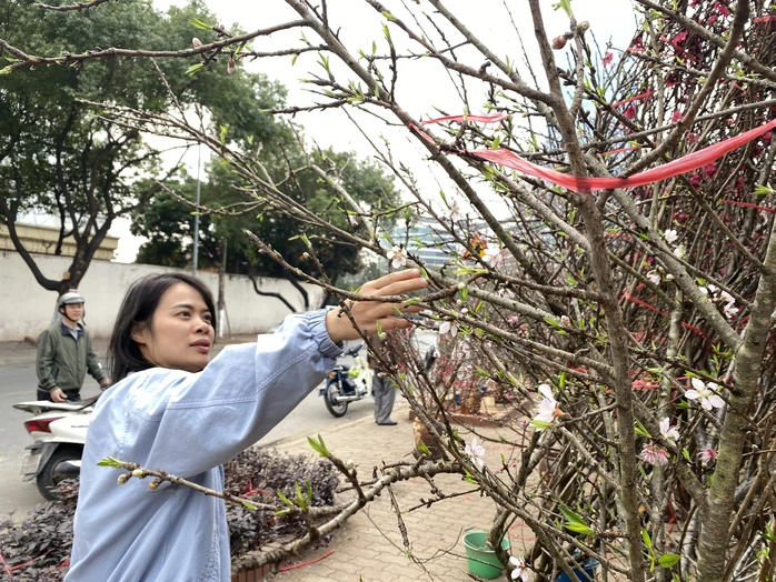 Miền Bắc duy trì thời tiết sáng và đêm trời rét.