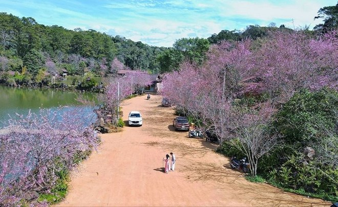 Măng Đen, tỉnh Quảng Ngãi được ví như "Đà Lạt thu nhỏ" của Tây Nguyên sẽ thu hút lượng khách du lịch lớn trong dịp Tết Bính Ngọ 2026. Ảnh: Thu Hiền