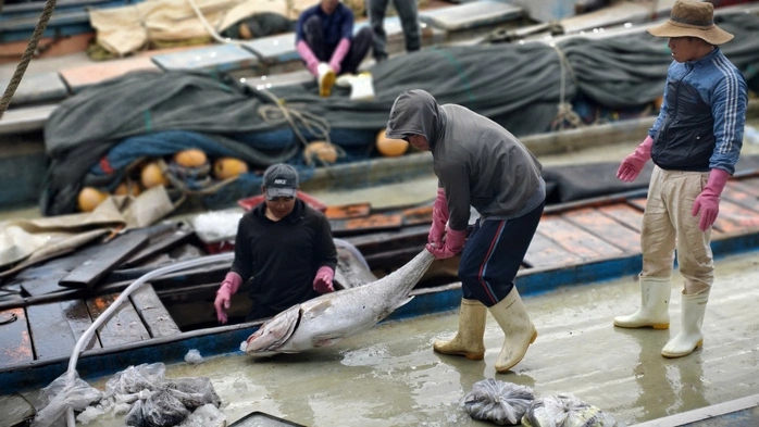 Tàu cá cập cảng đầy ắp hải sản trong những ngày cận Tết.