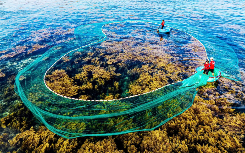 Quy Nhơn vào Top 25 điểm đến xu hướng hàng đầu thế giới năm 2026.